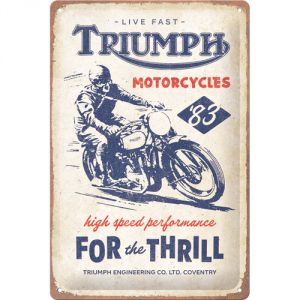 22423 Triumph - For the Thrill