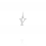 Letter Y shaped pendant