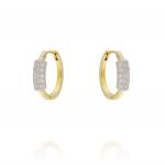 Hoop earrings with cubic zirconia inset - gold plated